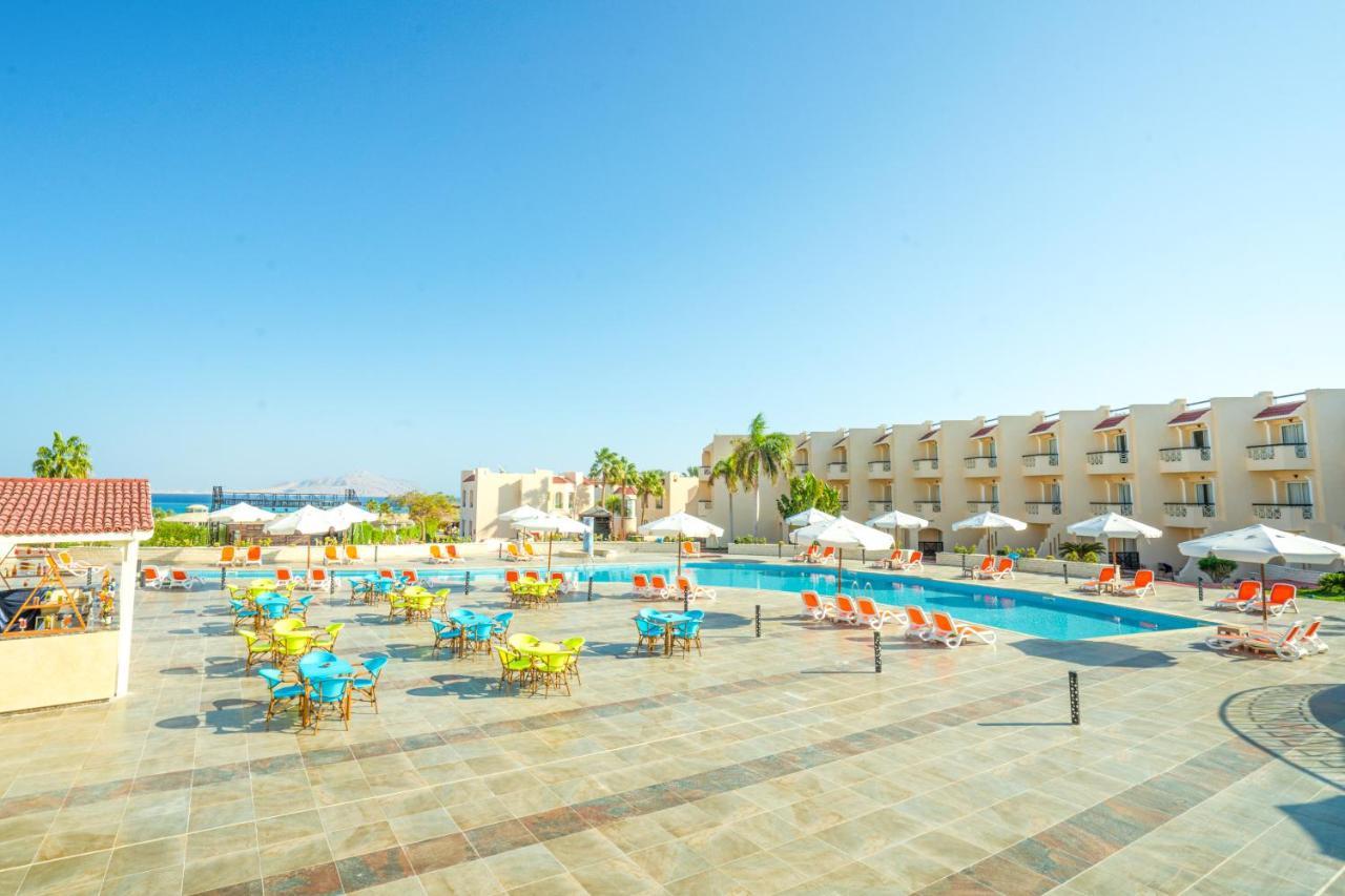 Ivy Cyrene Sharm Resort Adults Friendly Plus 13 Exterior foto