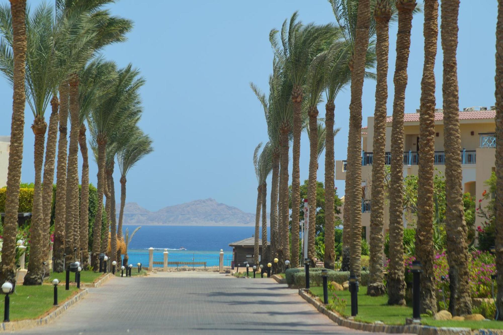 Ivy Cyrene Sharm Resort Adults Friendly Plus 13 Exterior foto